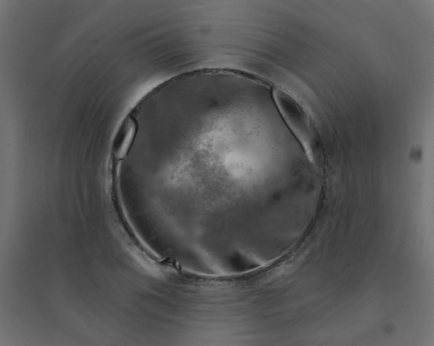 X0000094461076200711211535