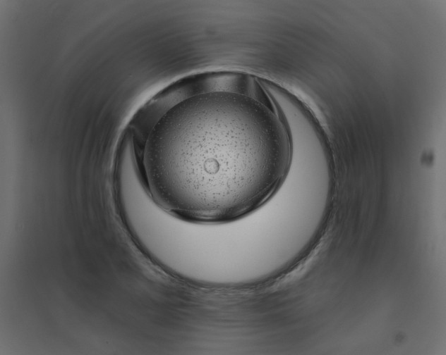 X0000094461077200711211535