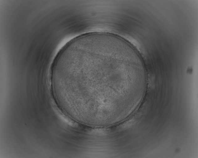 X0000094461078200711211535