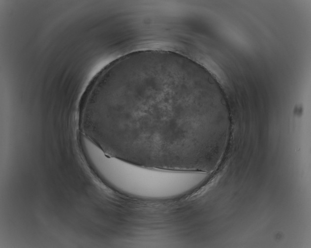 X0000094461079200711211535