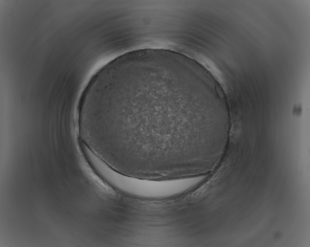 X0000094461080200711211535