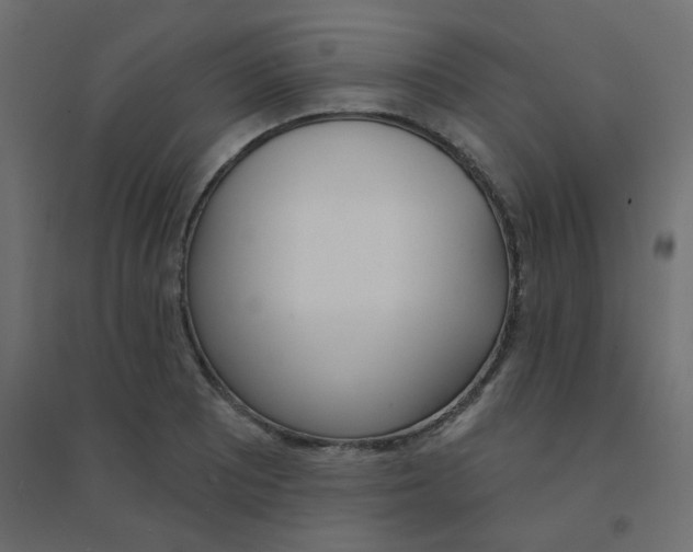 X0000094461081200711211535