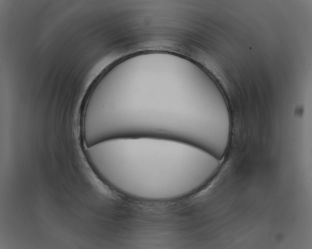 X0000094461082200711211535