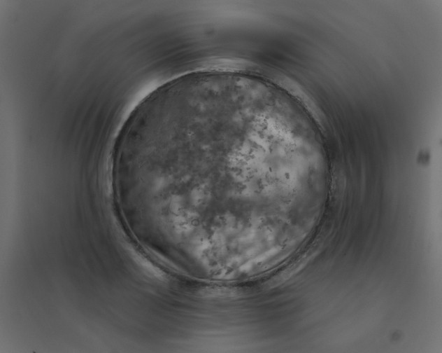 X0000094461083200711211535