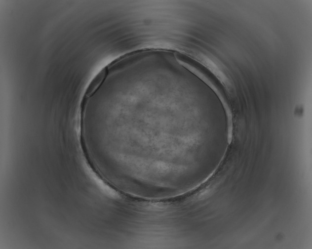 X0000094461084200711211535