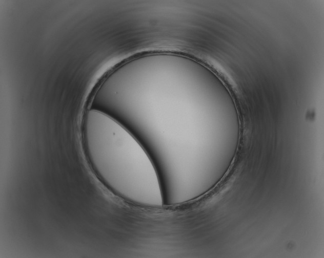 X0000094461085200711211535