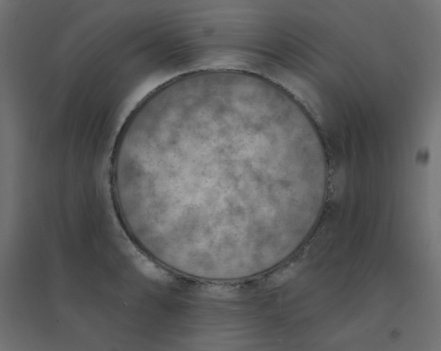 X0000094461086200711211535