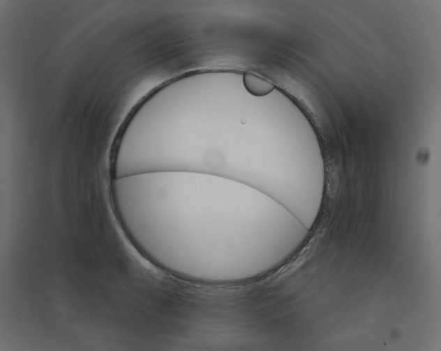 X0000094461087200711211535