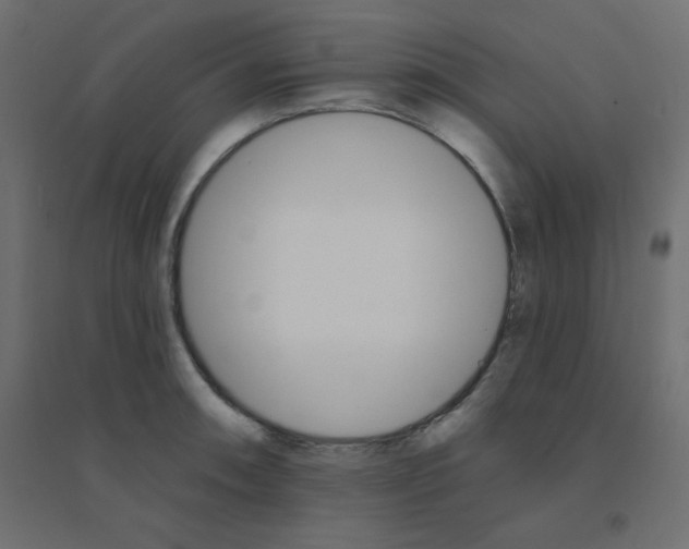 X0000094461090200711211535