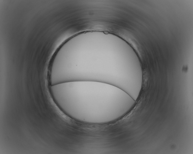 X0000094461091200711211535