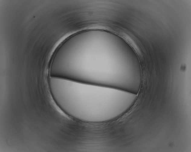 X0000094461092200711211535