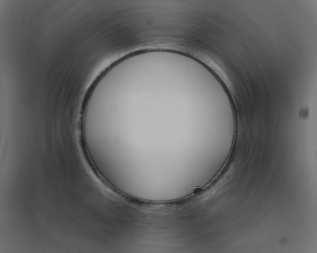 X0000094461093200711211535