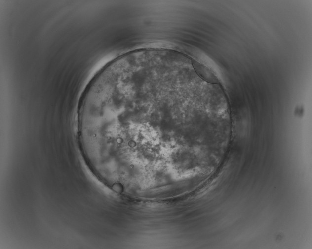 X0000094461095200711211535