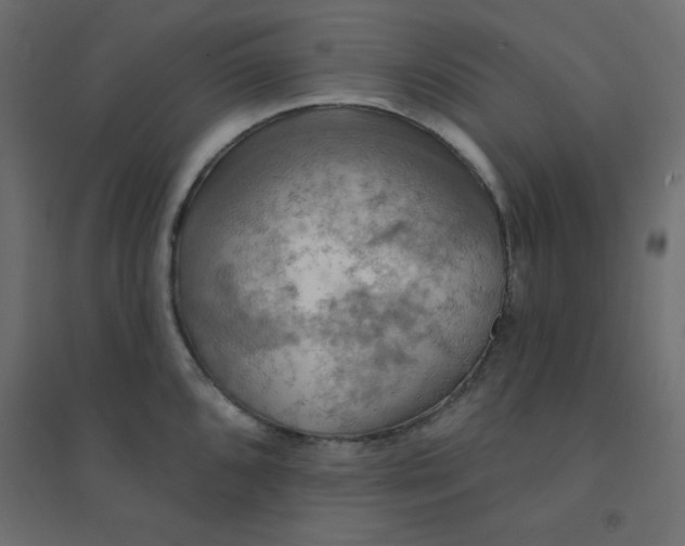 X0000094461096200711211535