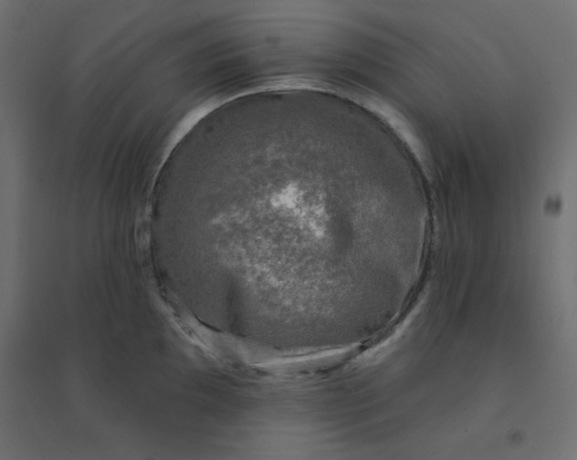 X0000094461097200711211535