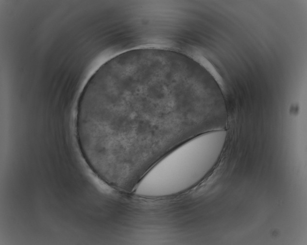 X0000094461099200711211535