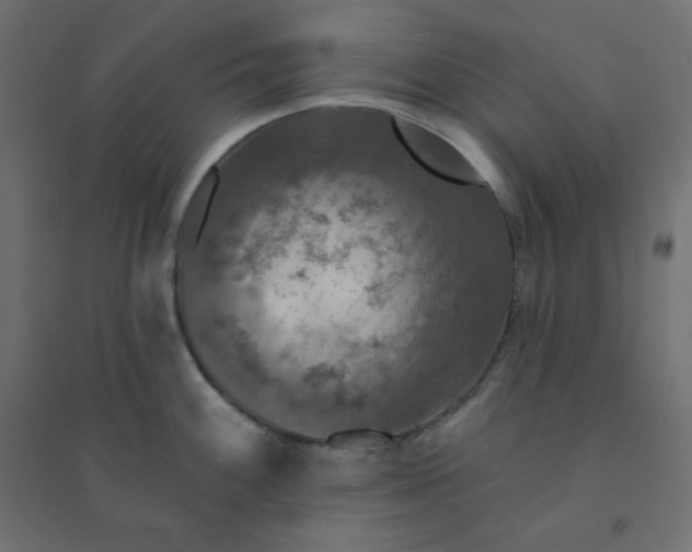 X0000094461100200711211535