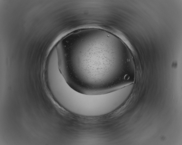X0000094461101200711211535