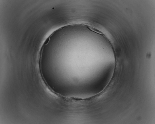 X0000094461102200711211535