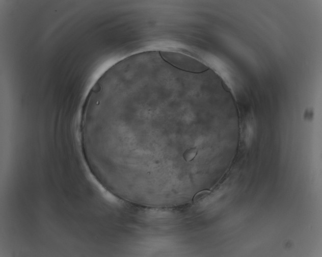 X0000094461103200711211535