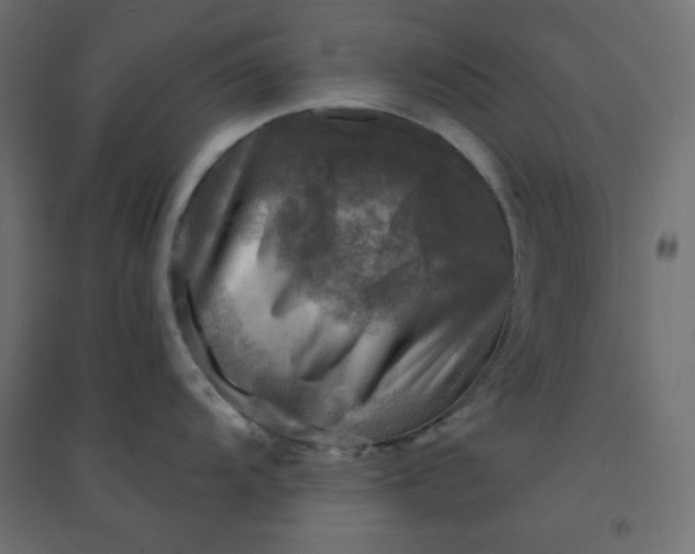 X0000094461104200711211535