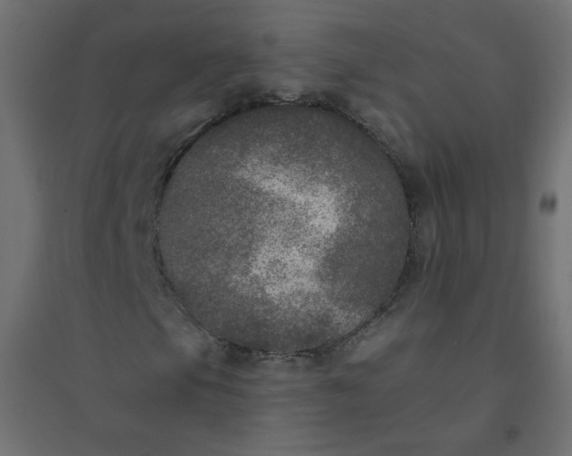 X0000094461105200711211534