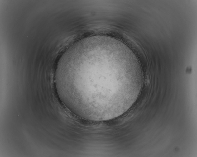X0000094461108200711211534