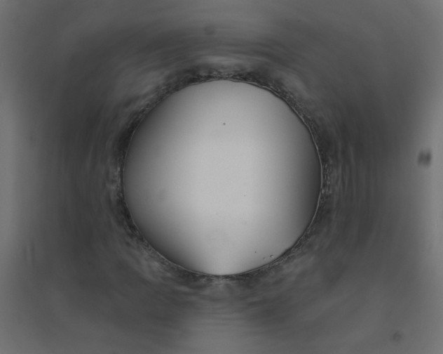 X0000094461109200711211534