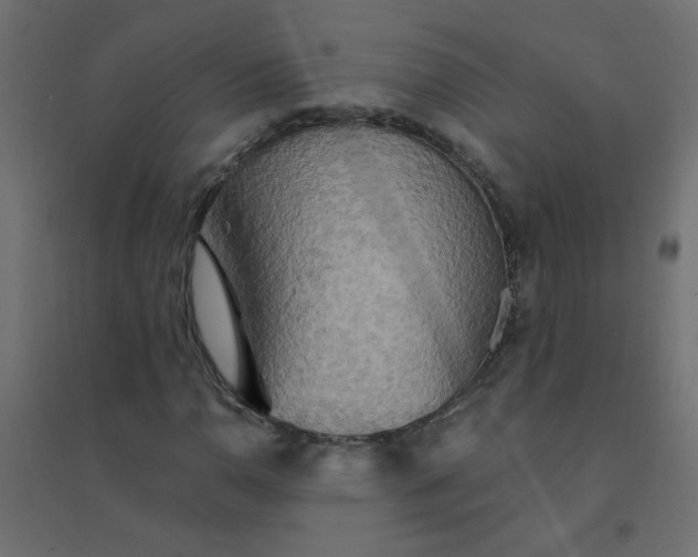 X0000094461110200711211534