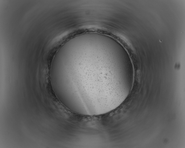 X0000094461111200711211534