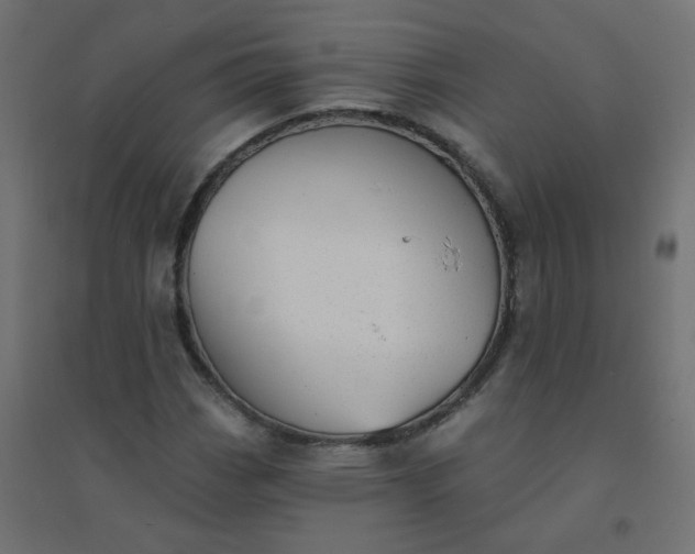 X0000094461113200711211534