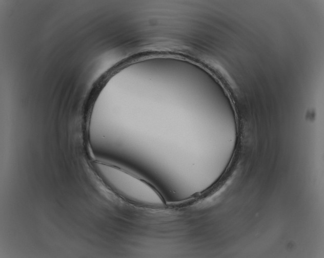 X0000094461114200711211534