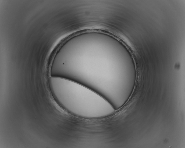 X0000094461116200711211534