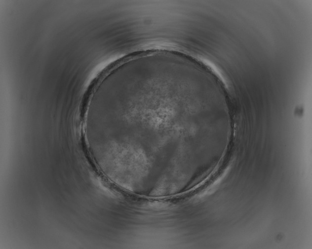 X0000094461117200711211534