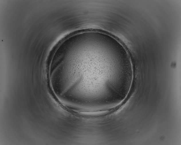 X0000094461118200711211534