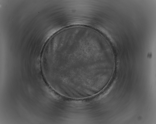 X0000094461121200711211535