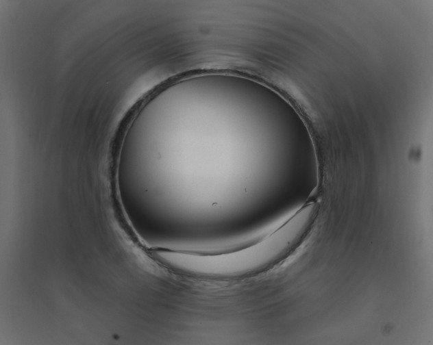 X0000094461122200711211535