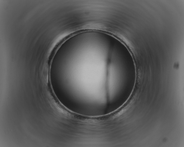X0000094461123200711211535