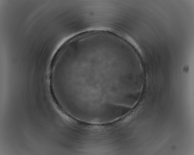 X0000094461124200711211535