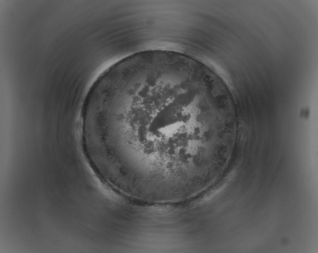 X0000094461125200711211535