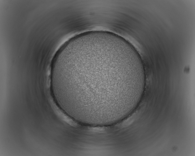 X0000094461126200711211535