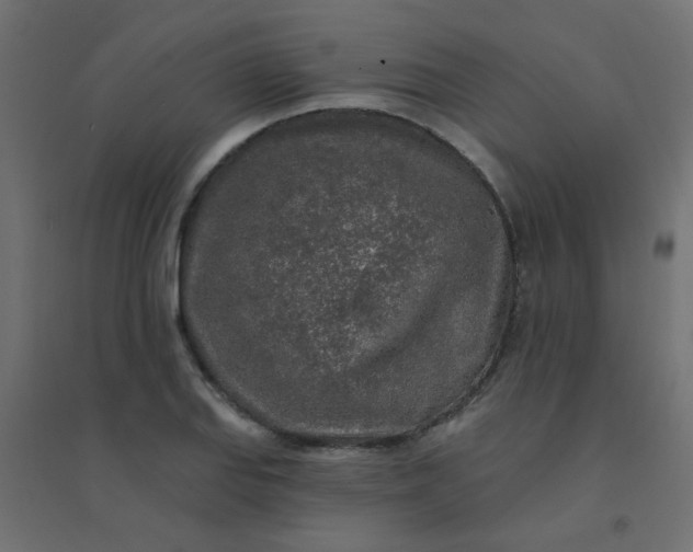 X0000094461127200711211535