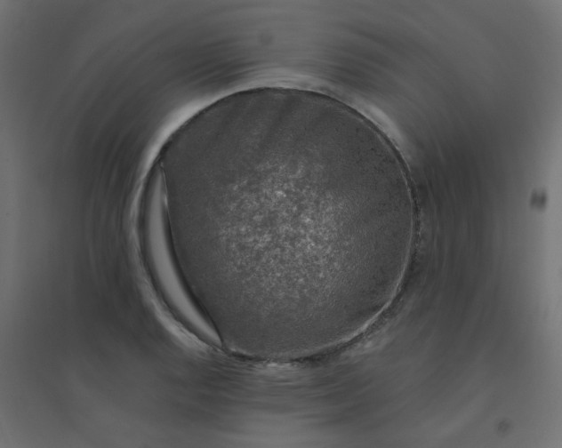 X0000094461128200711211535