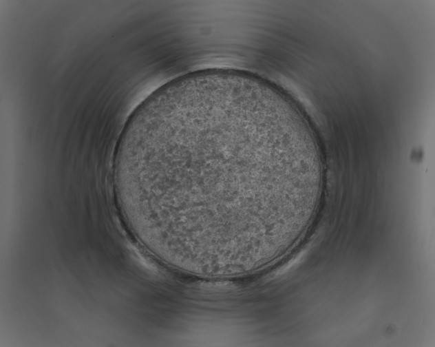 X0000094461129200711211535