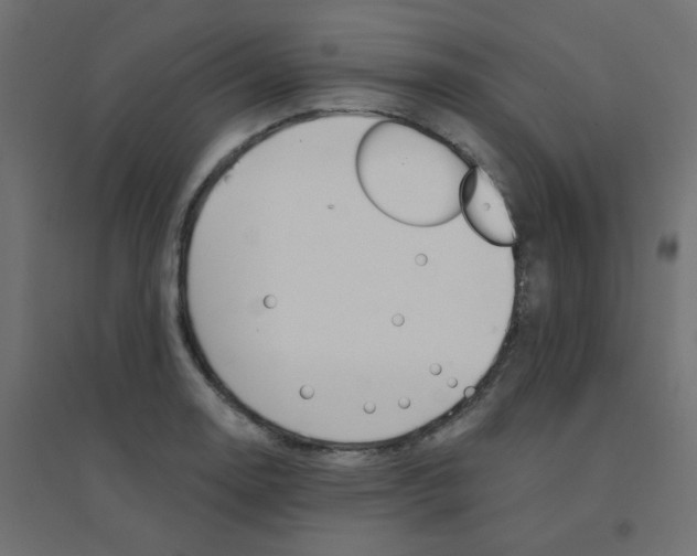 X0000094461130200711211535