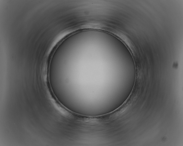 X0000094461131200711211535