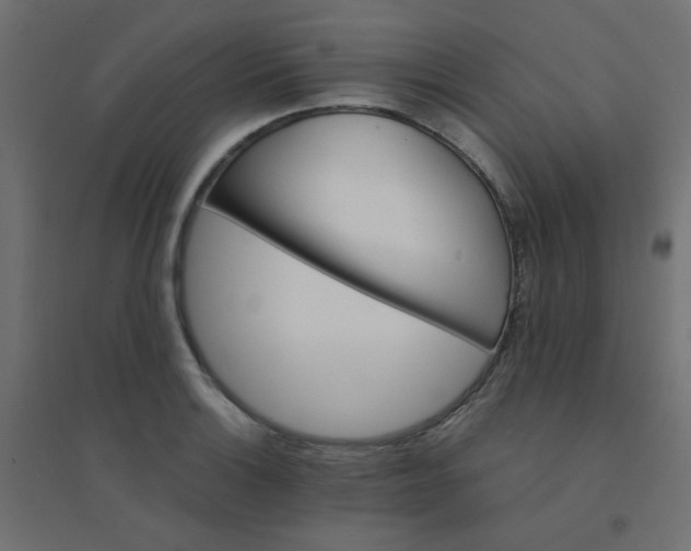 X0000094461132200711211535
