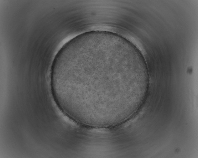 X0000094461133200711211535
