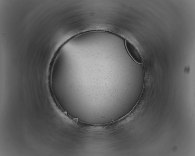 X0000094461135200711211535