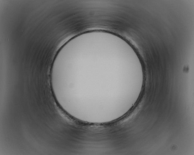 X0000094461137200711211535